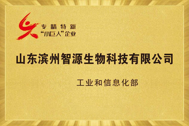 国家级专精特新重点“小巨人”