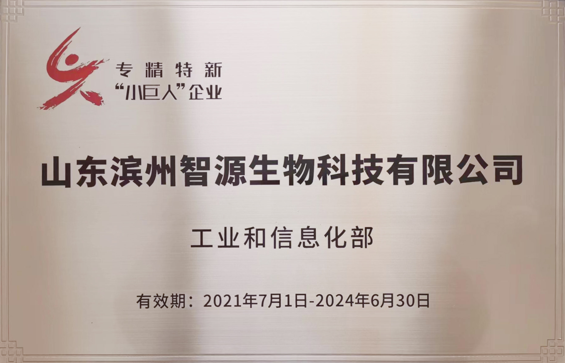 曾获评工信部专精特新 “小巨人” 企业（2021-2024）